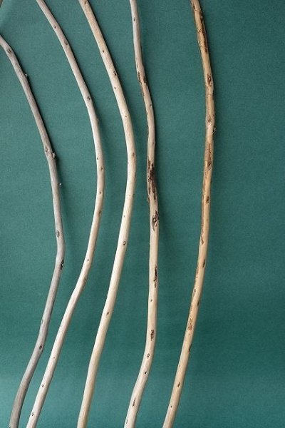 画像6: 棒流木セット (6)