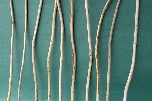 画像3: 棒流木セット (3)