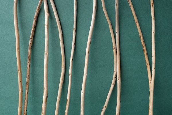 画像3: 棒流木セット (3)