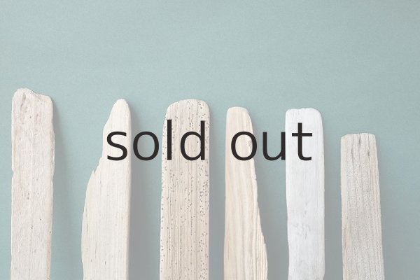 画像3: 板流木セット (3)