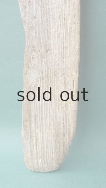 画像2: 板流木 (2)