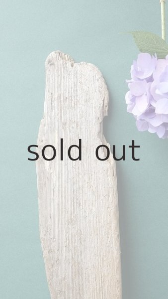 画像3: 板流木 (3)