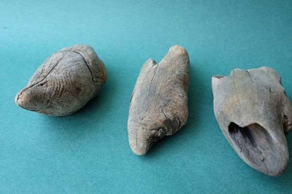 画像2: 変形流木セット (2)