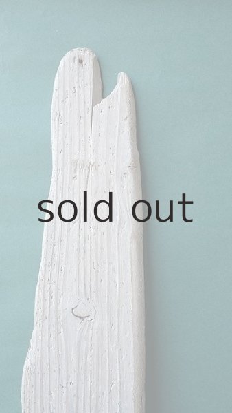 画像4: 板流木 (4)