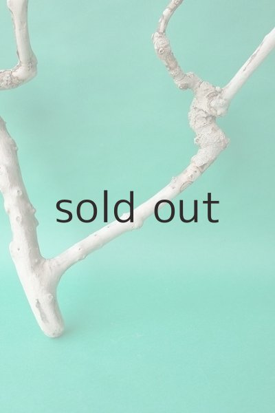 画像4: 枝流木 (4)