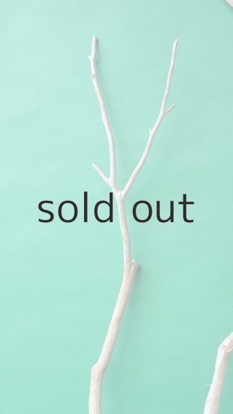 画像4: 枝流木 (4)