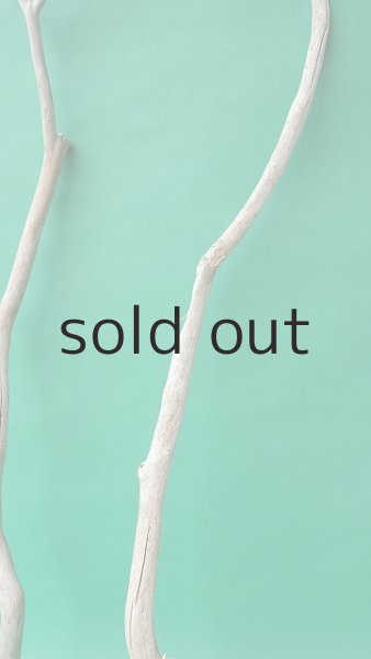 画像3: 枝流木 (3)