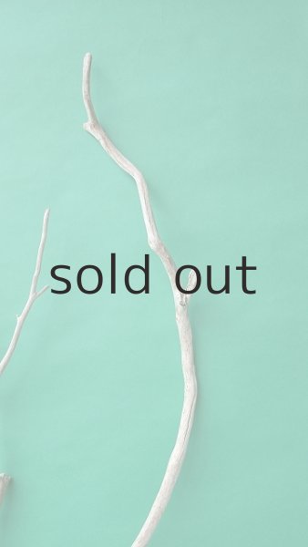 画像5: 枝流木 (5)