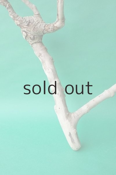 画像2: 枝流木 (2)