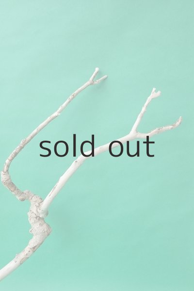 画像5: 枝流木 (5)