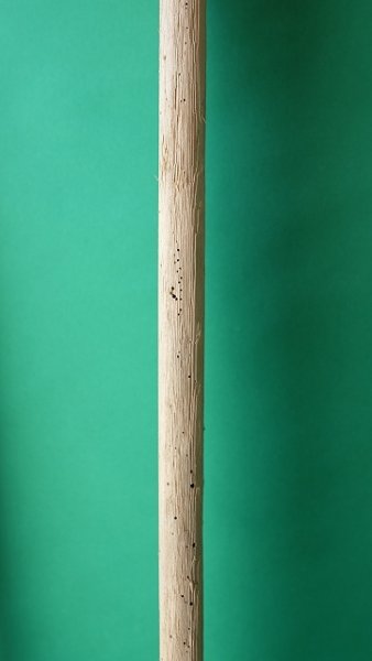 画像5: 板流木 (5)