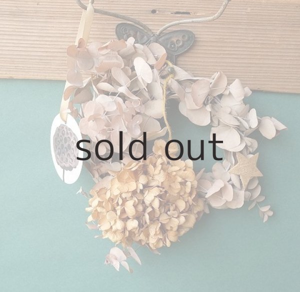 画像2: Dry plants for decor ユーカリリースベージュミックス(銀丸葉+ドライアジサイほか) (2)