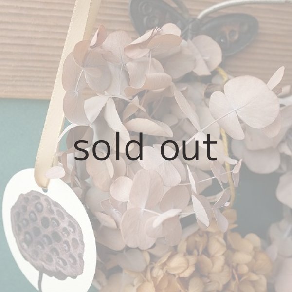 画像3: Dry plants for decor ユーカリリースベージュミックス(銀丸葉+ドライアジサイほか) (3)