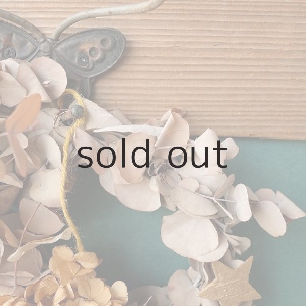 画像4: Dry plants for decor ユーカリリースベージュミックス(銀丸葉+ドライアジサイほか) (4)