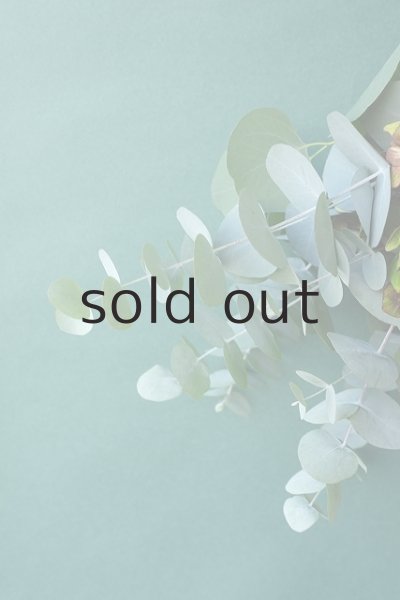 画像3: Dry plants for decor ユーカリ+ドライアジサイシンプルスワッグ (3)