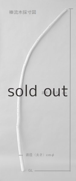 画像6: 棒流木セット (6)