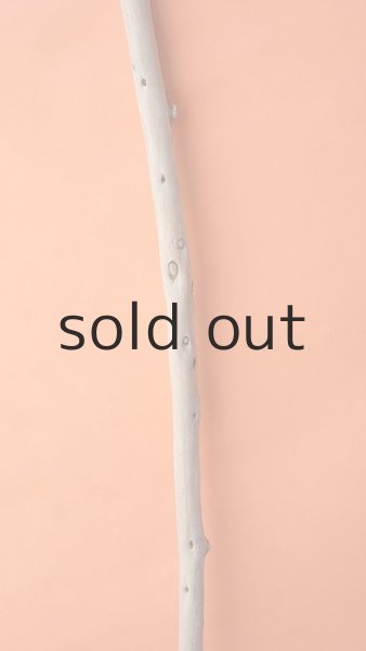 画像3: 棒流木 (3)