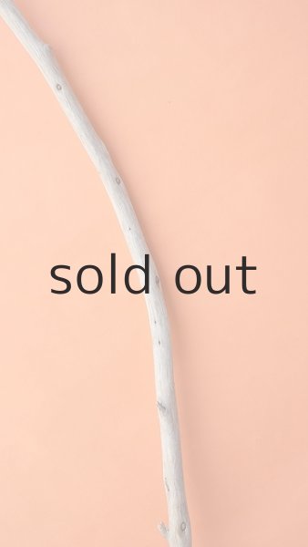 画像3: 棒流木 (3)