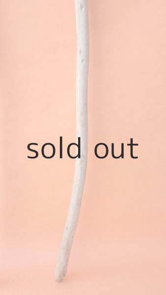 画像3: 棒流木セット (3)