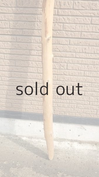 画像2: 棒流木・長尺 (2)