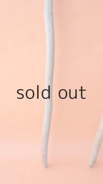 画像2: 棒流木セット (2)