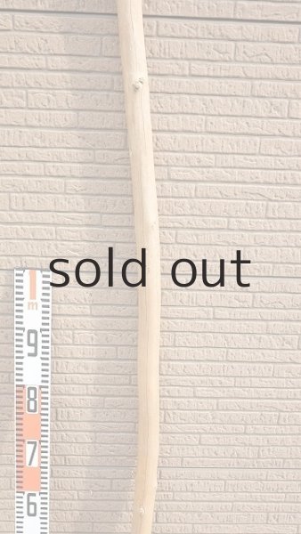 画像6: 棒流木・長尺 (6)