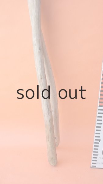 画像5: 棒流木セット (5)