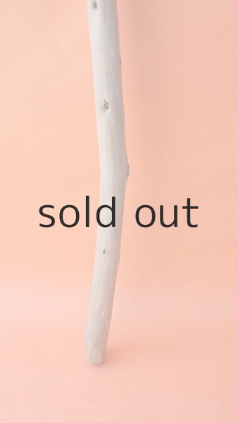 画像2: 棒流木 (2)