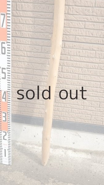 画像5: 棒流木・長尺 (5)