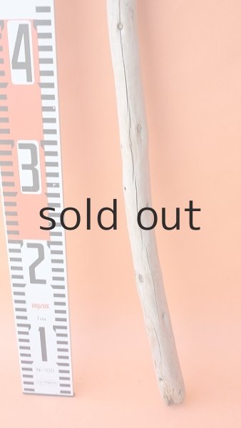 画像5: 棒流木 (5)