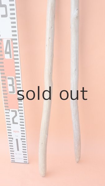 画像6: 棒流木セット (6)