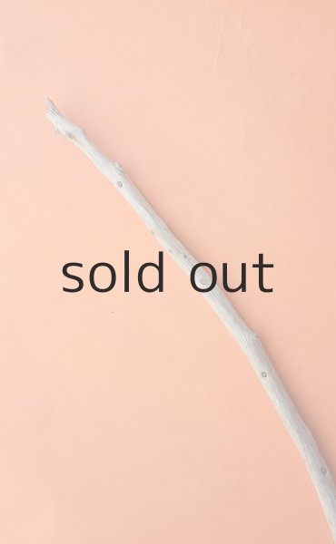 画像4: 棒流木 (4)