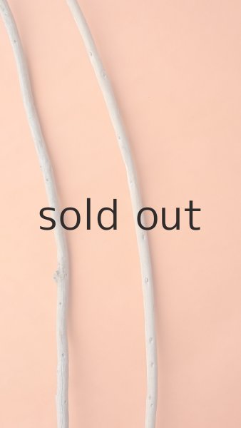 画像4: 棒流木セット (4)