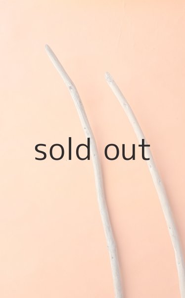 画像5: 棒流木セット (5)