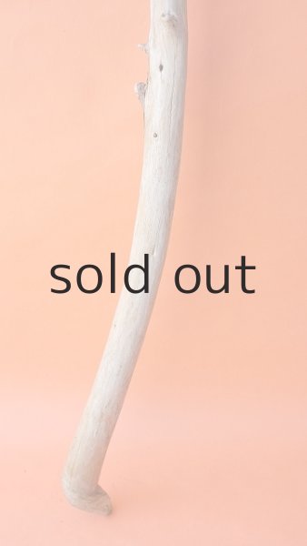 画像2: 棒流木 (2)