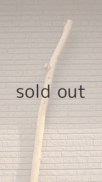 画像4: 棒流木・長尺 (4)