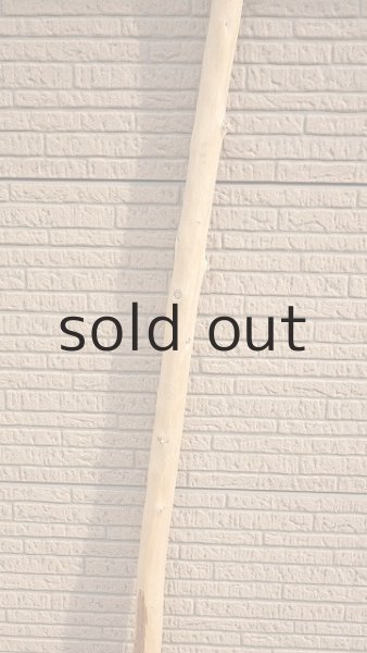 画像3: 棒流木・長尺 (3)