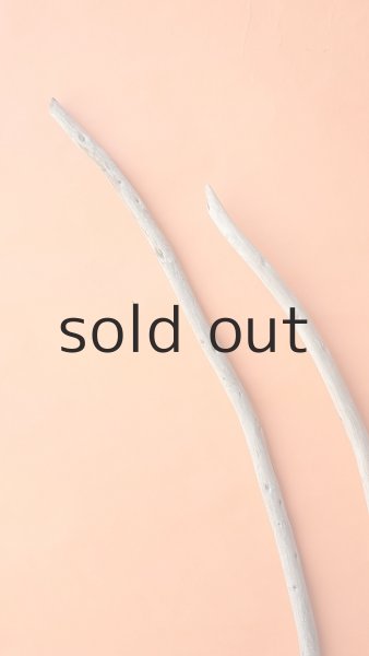 画像4: 棒流木セット (4)