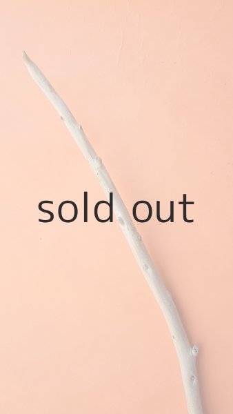 画像4: 棒流木 (4)