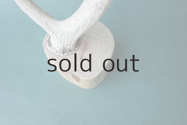 画像3: 小物掛け  by GRAY and GREEN (3)