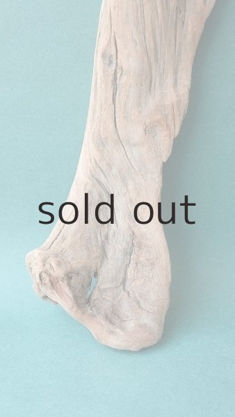 画像2: 変形流木 (2)