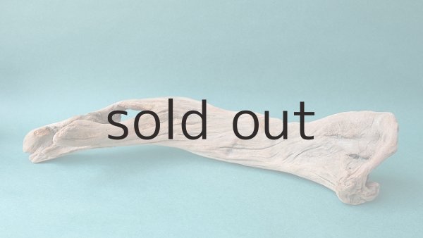 画像4: 変形流木 (4)