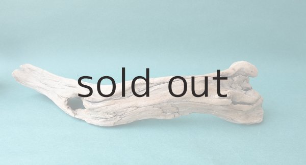 画像5: 変形流木 (5)