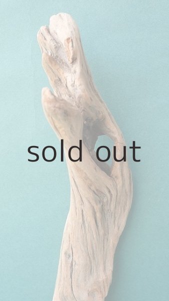 画像3: 変形流木 (3)