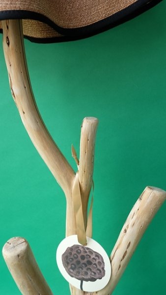 画像5: 帽子・小物掛け (5)