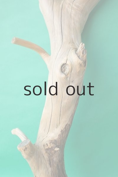 画像3: 幹流木 (3)