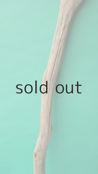 画像3: 幹流木 (3)