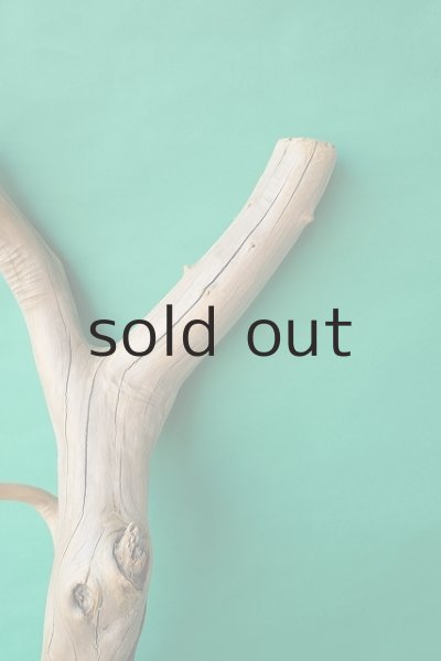 画像4: 幹流木 (4)