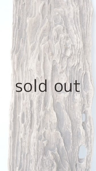 画像3: 板流木 (3)