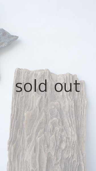 画像4: 板流木 (4)